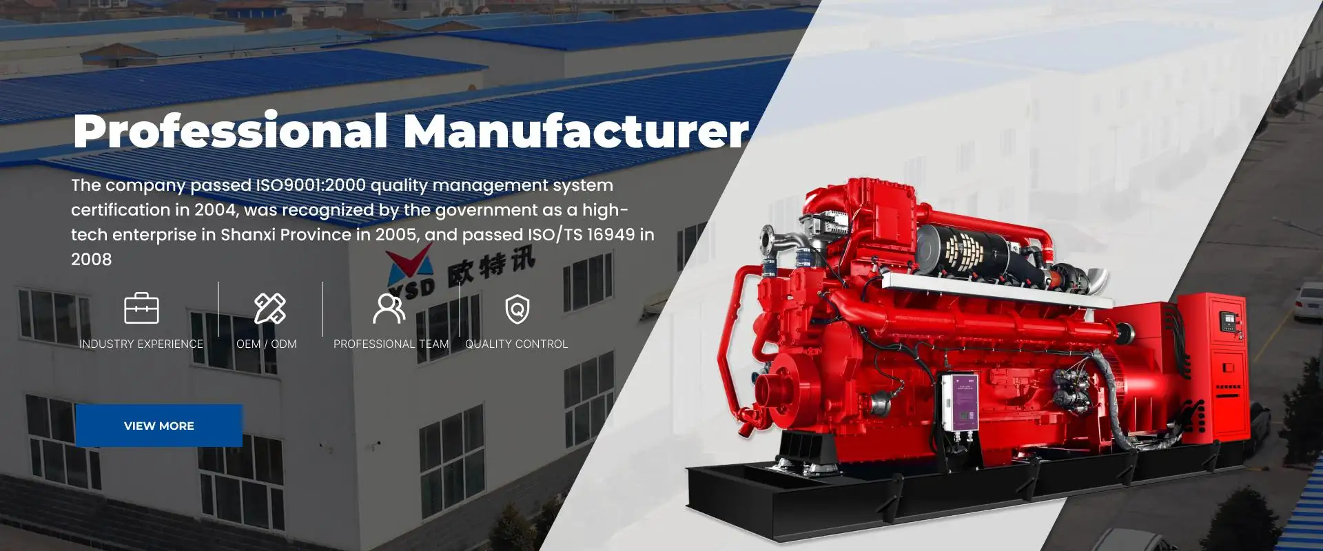 Professional Manufacturer